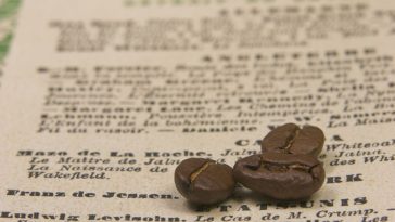 History of Coffee - From Ethiopia to Global Popularity