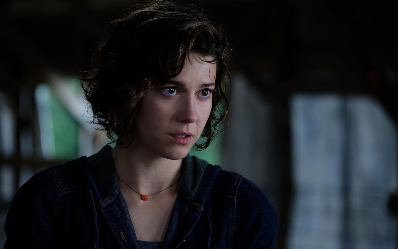 Mary Elizabeth Winstead - The Versatile American Actress